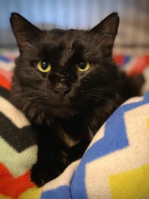 Hernando thumbnail 3