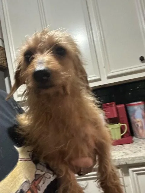 Bailey thumbnail 2