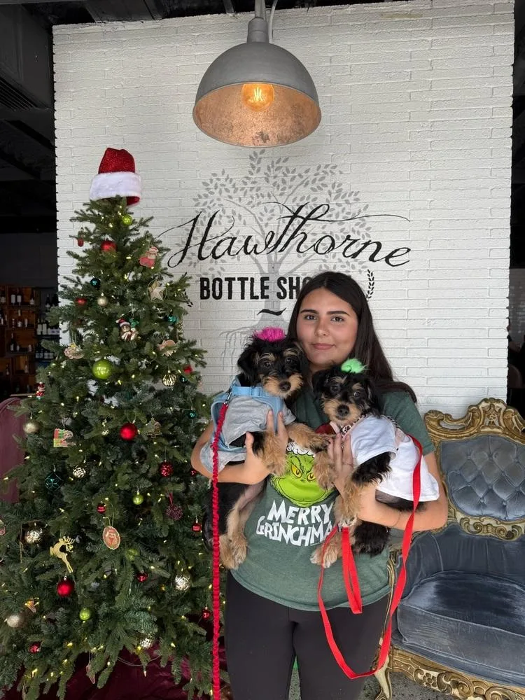 Tiramisu thumbnail 2