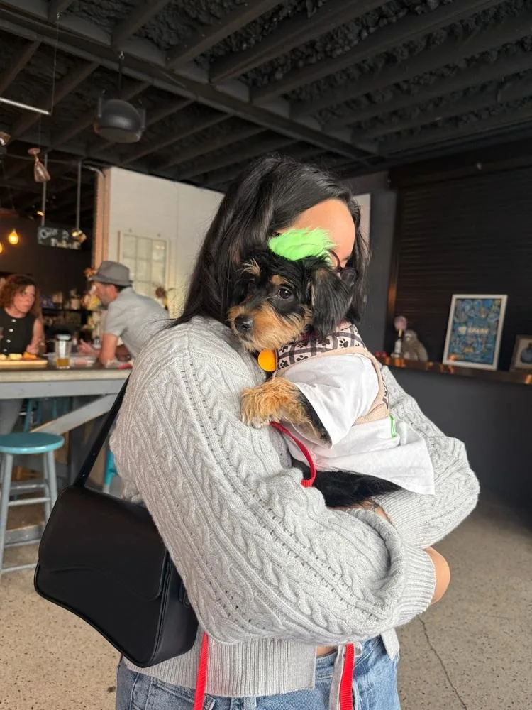 Tiramisu thumbnail 5