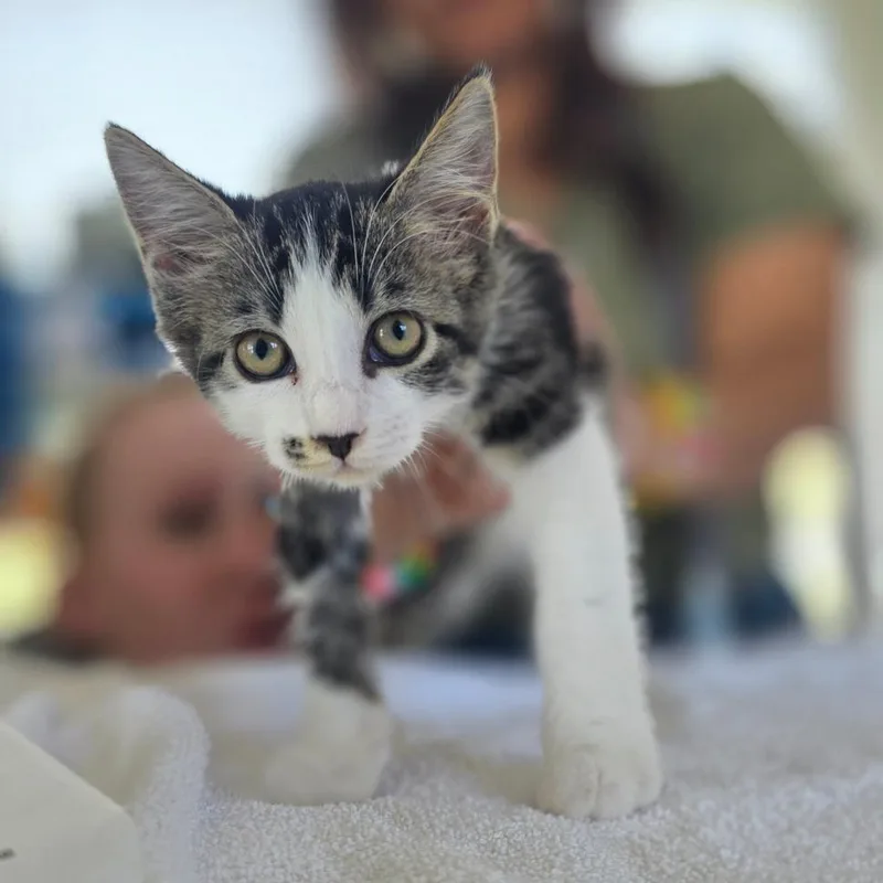 Pepper thumbnail 3
