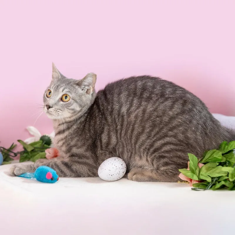 Palladium thumbnail 3