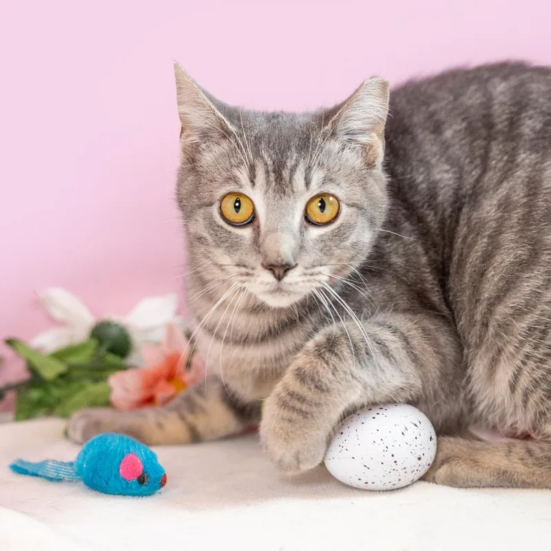 Palladium thumbnail 5