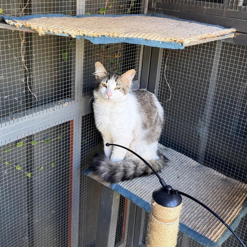 Slughorn thumbnail 2