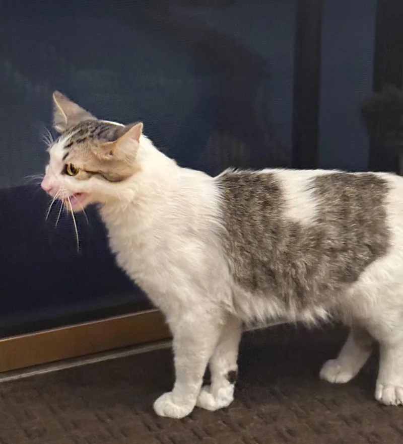 Slughorn thumbnail 3