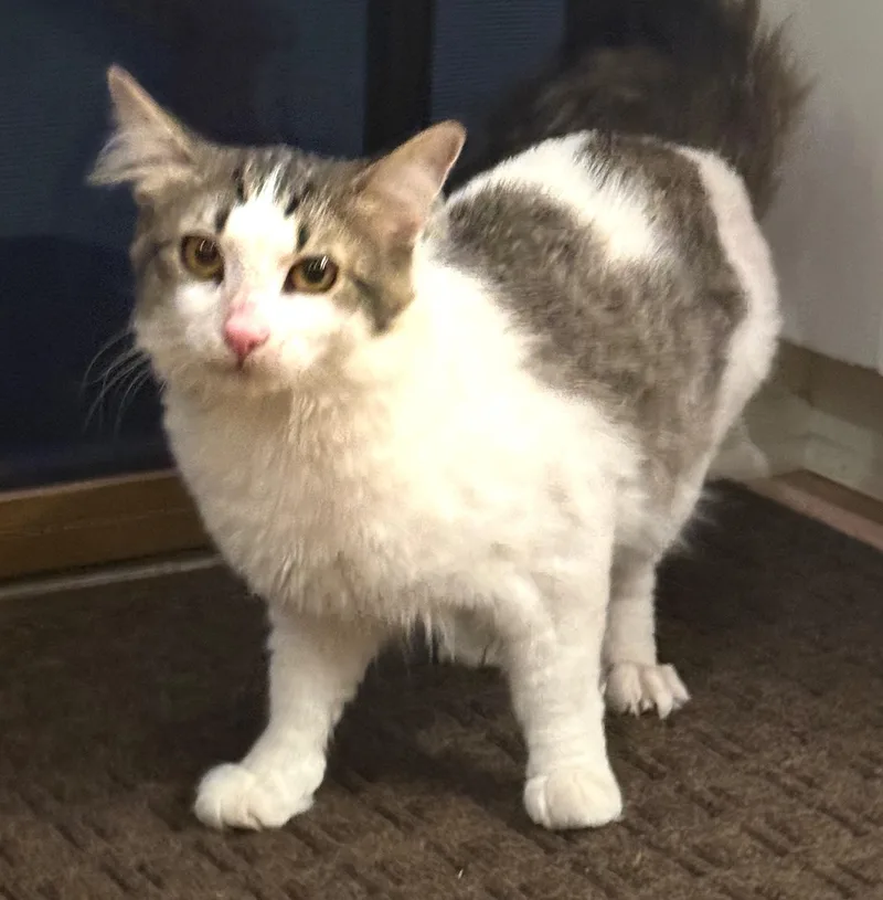 Slughorn thumbnail 4