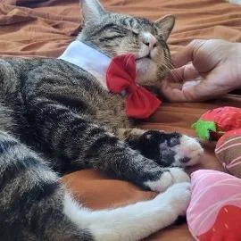 Little Whale thumbnail 2