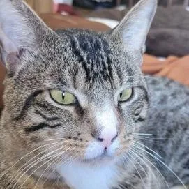 Little Whale thumbnail 4