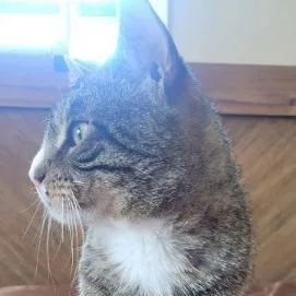 Little Whale thumbnail 5