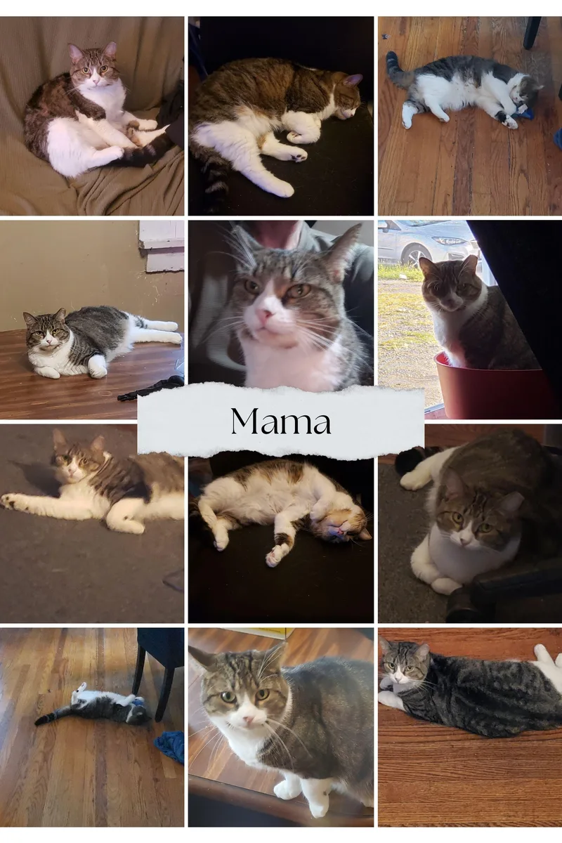 Mama thumbnail 2