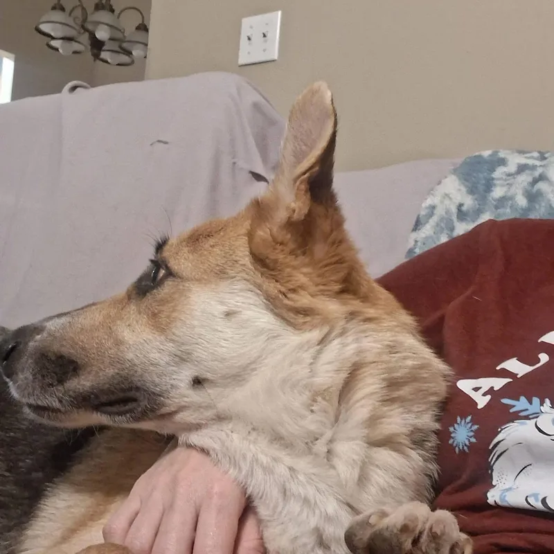 Charlotte thumbnail 2