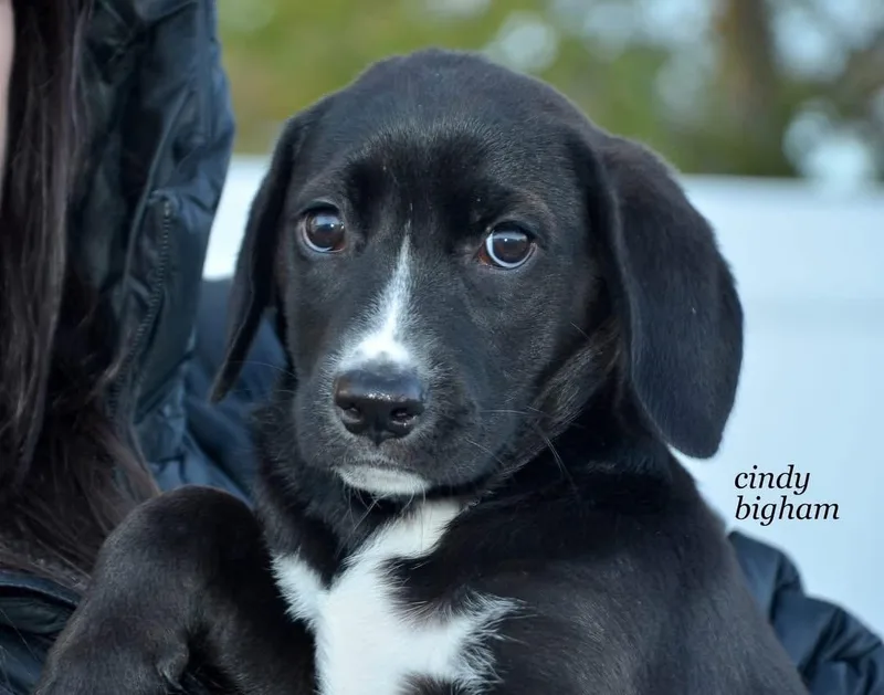 Bonnie Jo thumbnail 2