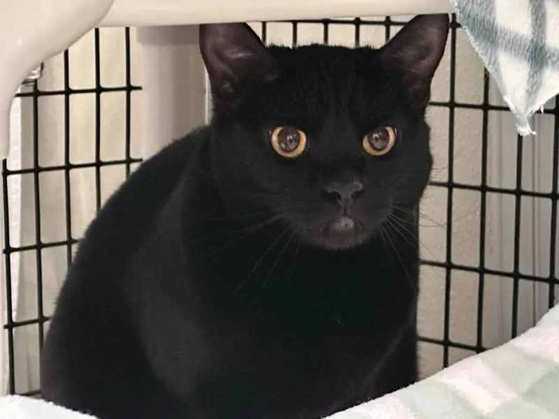 Minnie Penny thumbnail 2