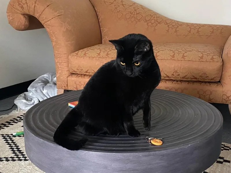 Minnie Penny thumbnail 3