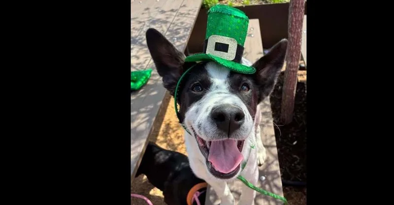 Maxx Pka Tyler Smurf thumbnail 2