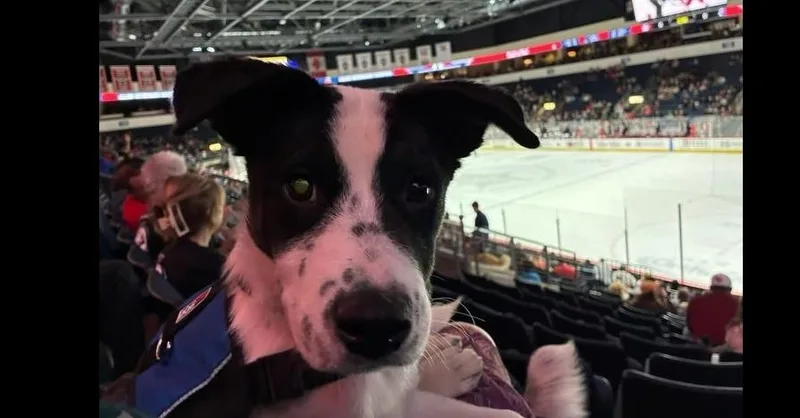 Maxx Pka Tyler Smurf thumbnail 4