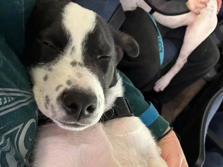 Maxx Pka Tyler Smurf thumbnail 5