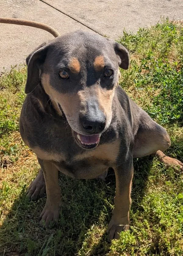 Ruger