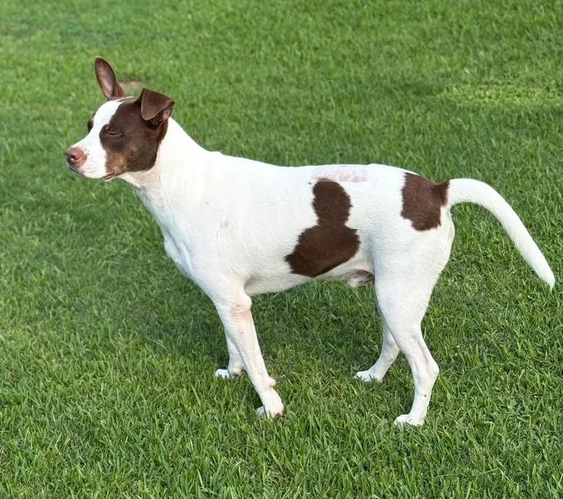 Roscoe Rusk thumbnail 4