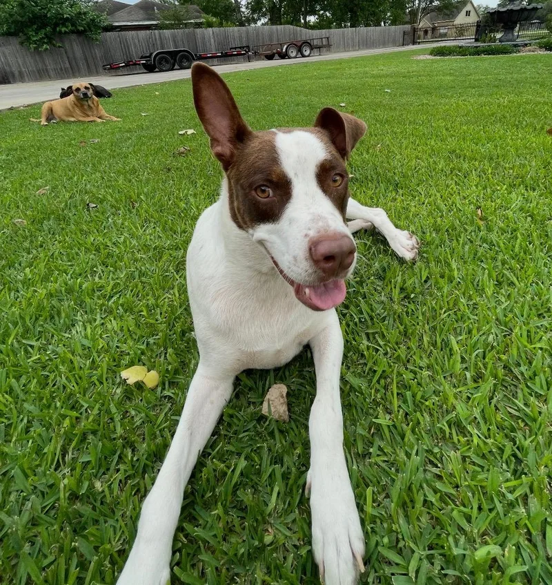 Roscoe Rusk thumbnail 5