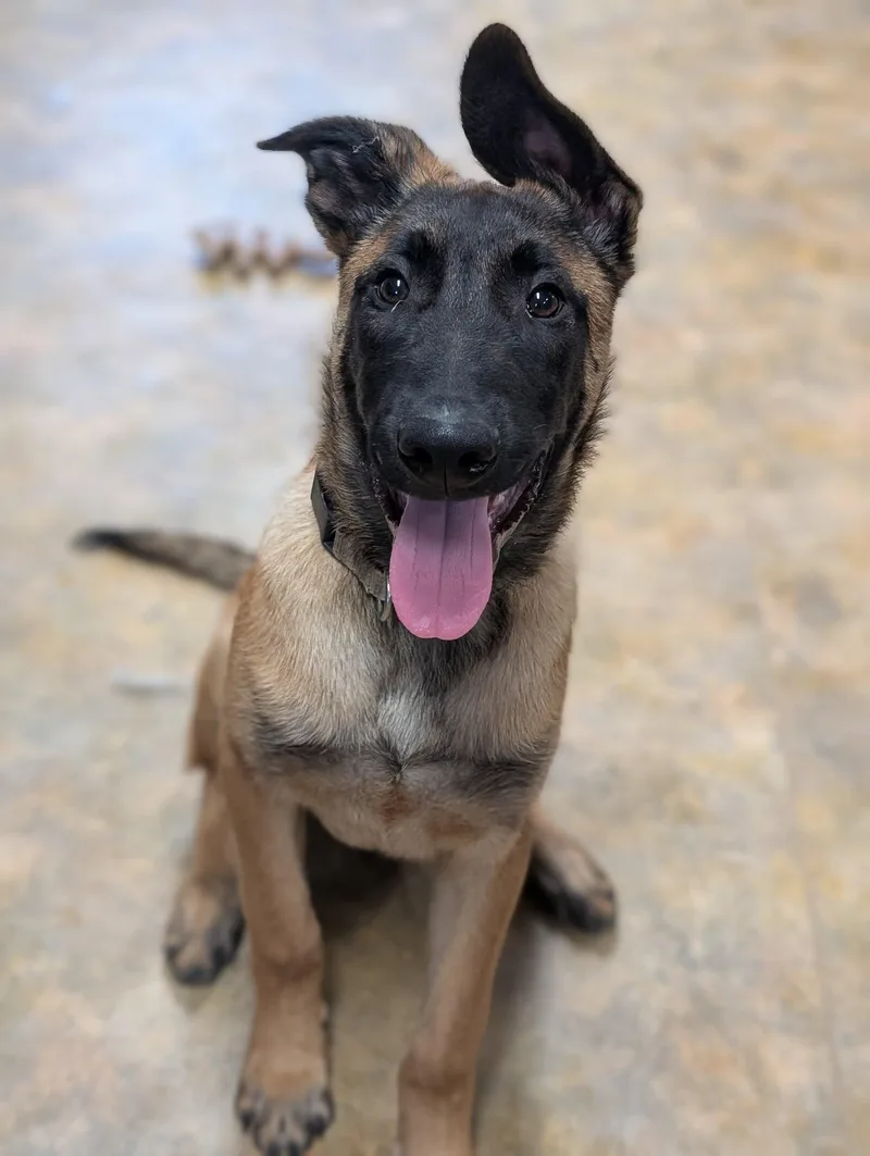 Pablo
