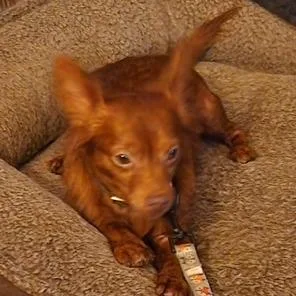 Loki thumbnail 2