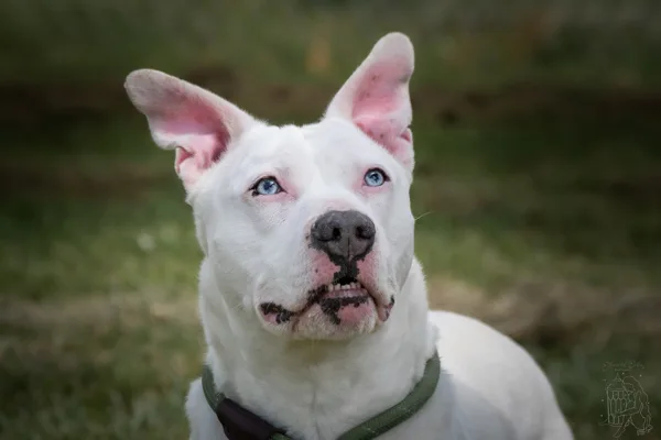 Tucker Deaf thumbnail 3