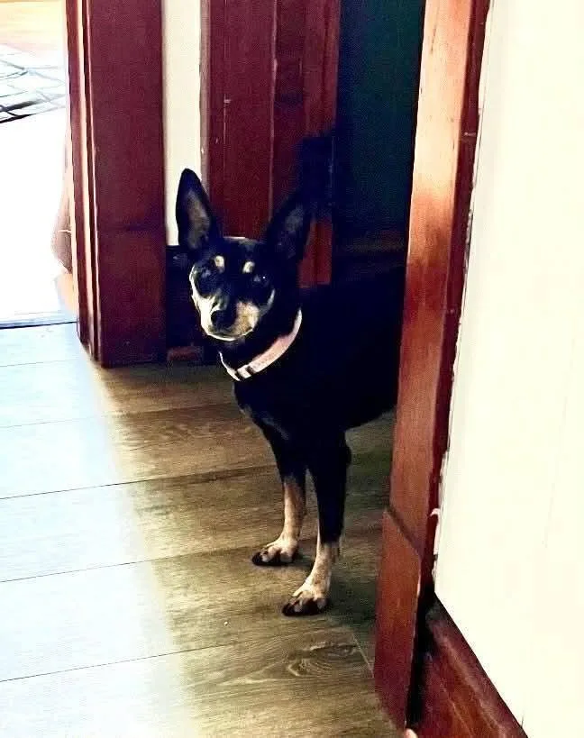 Sadie