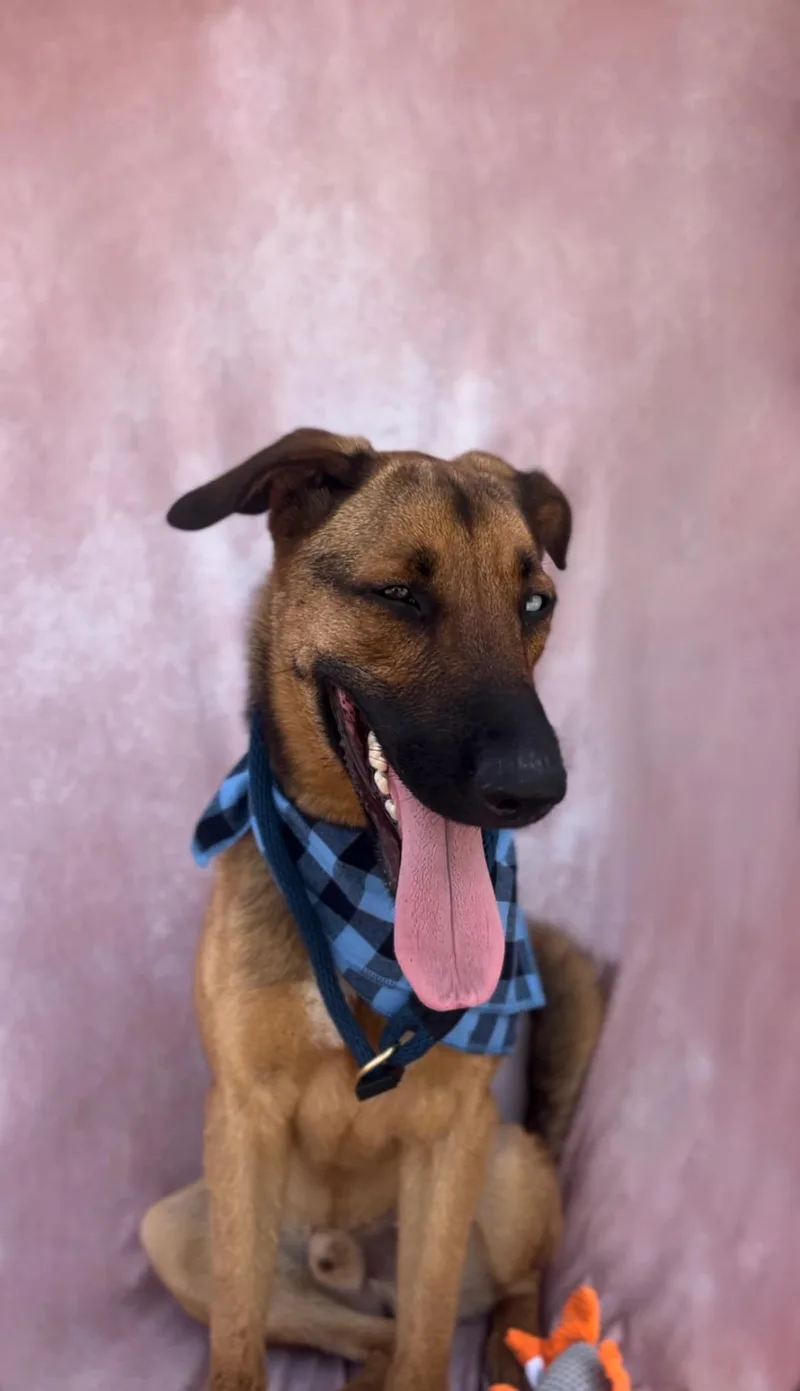 Bleu Moon thumbnail 3