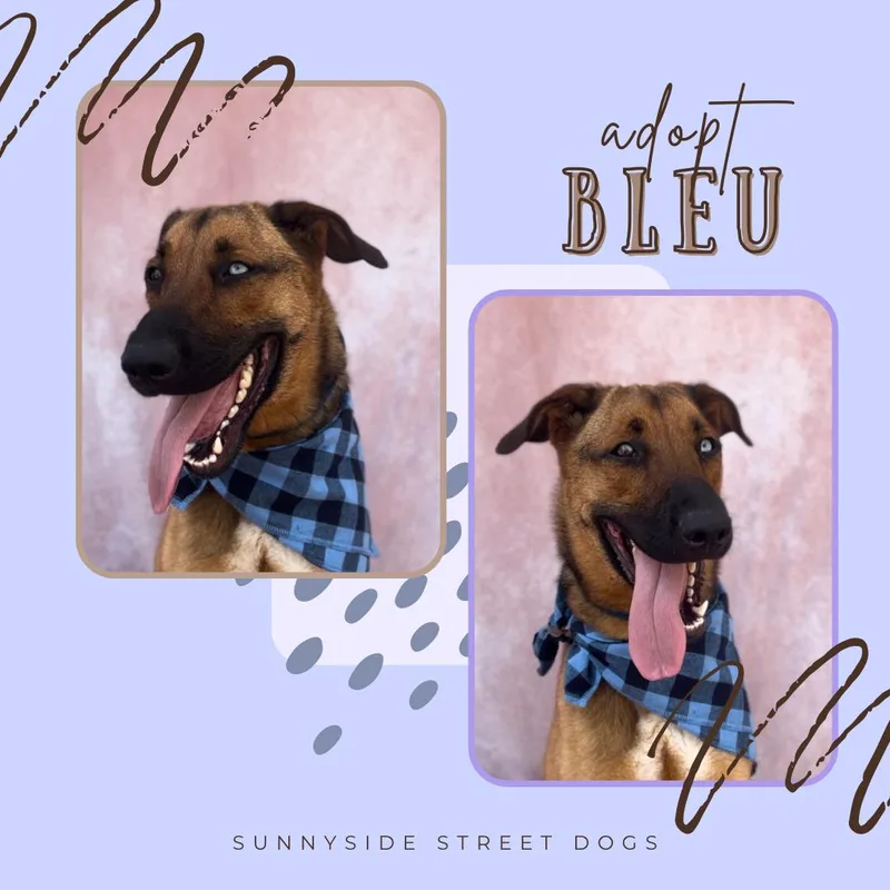 Bleu Moon thumbnail 5