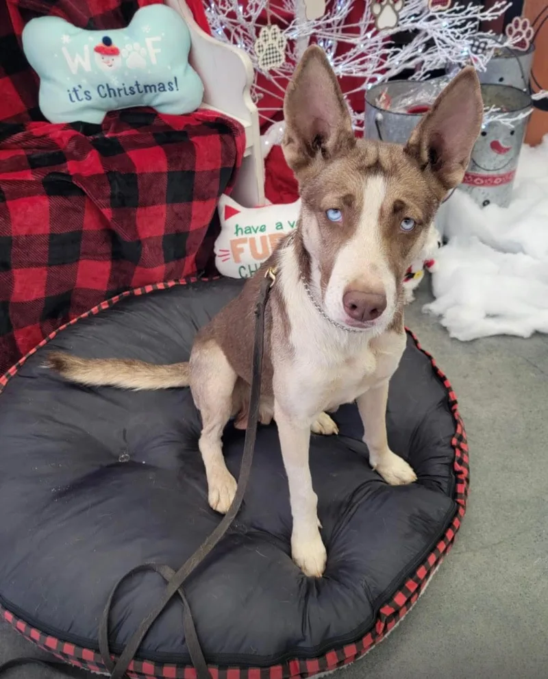 Luna Brigitte thumbnail 3