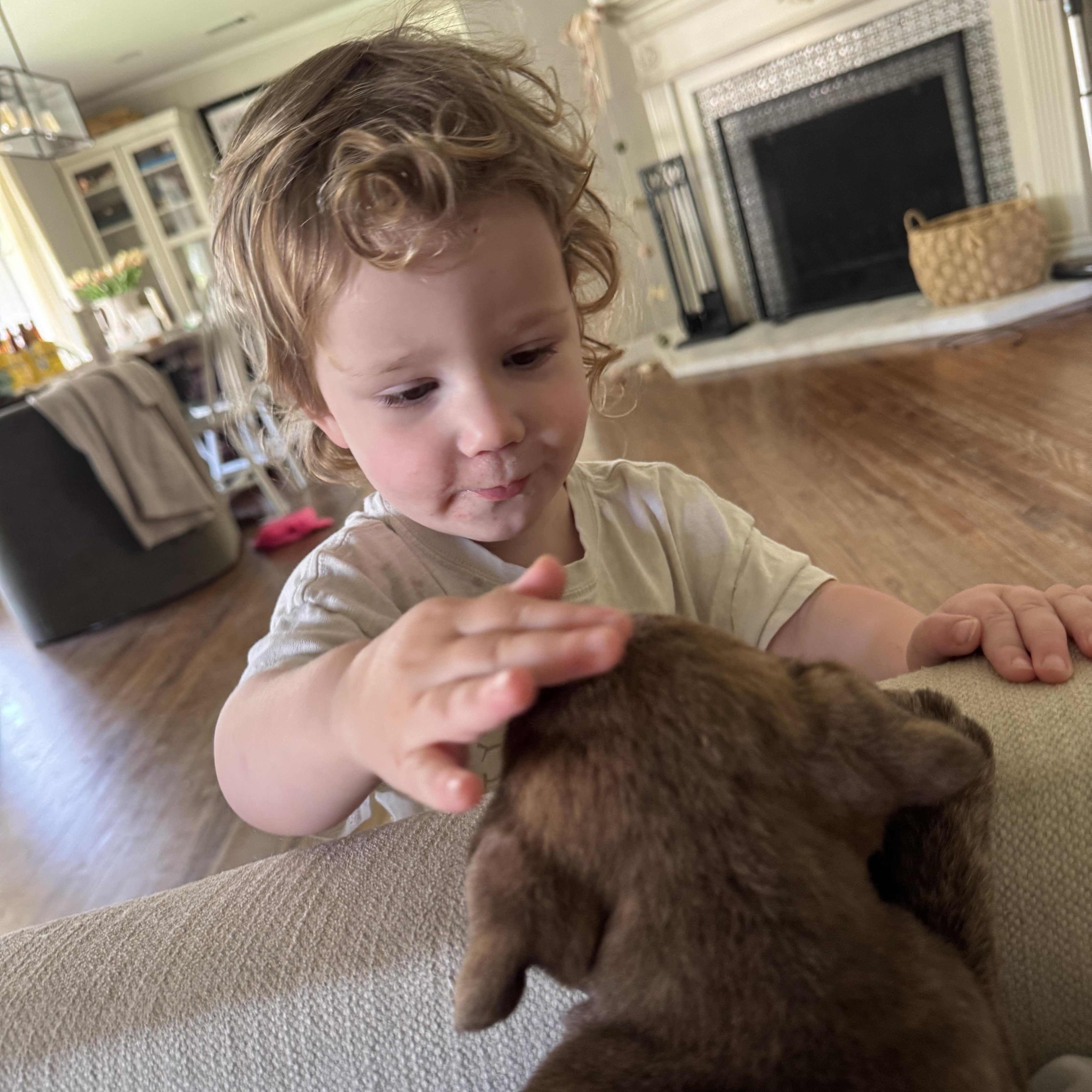 Hershey! thumbnail 4