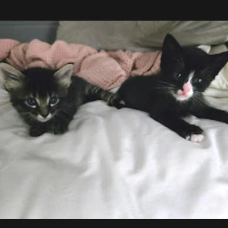 Smushy thumbnail 5