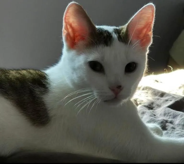 Mimi thumbnail 2
