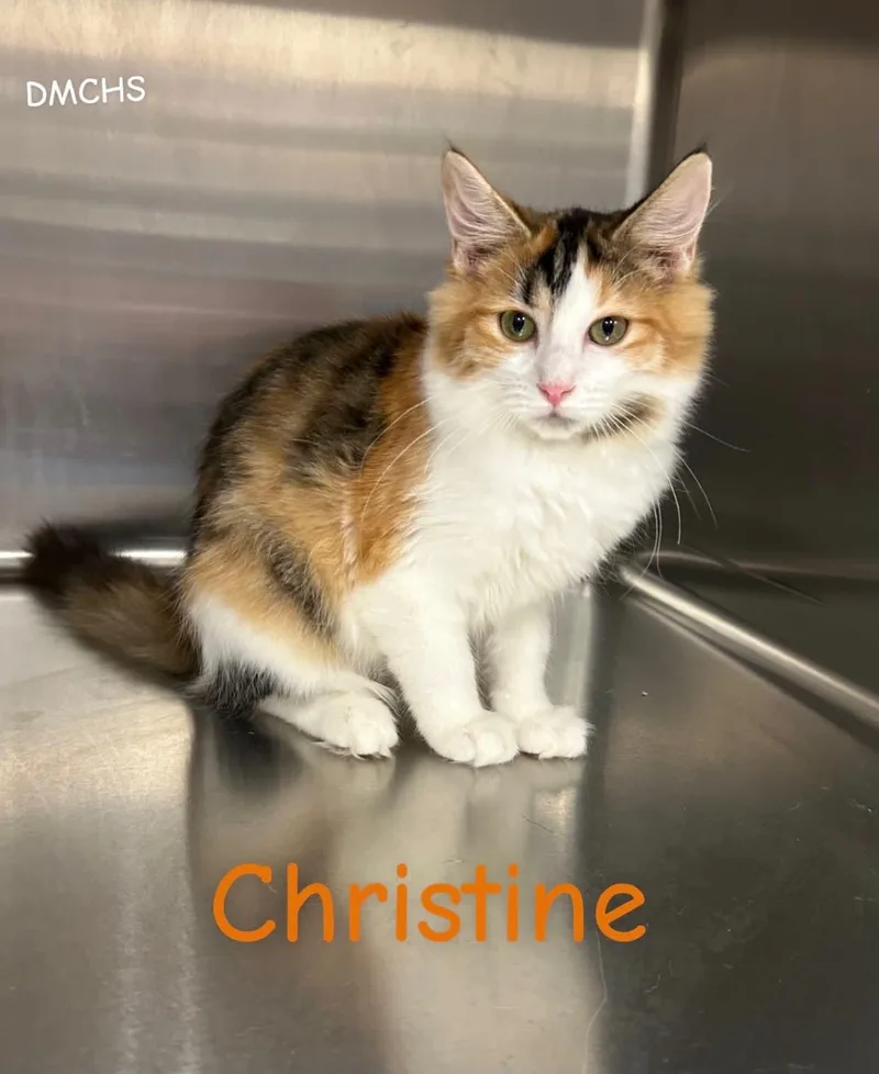 Christine thumbnail 2