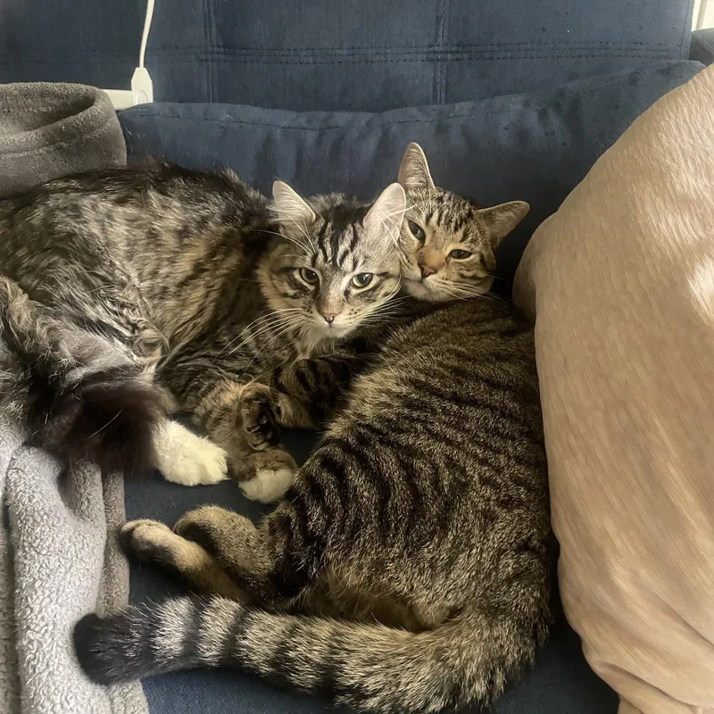 Aries and Zeus thumbnail 2
