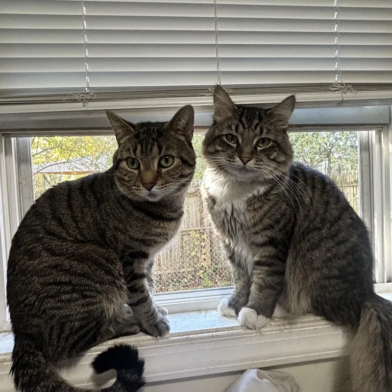 Aries and Zeus thumbnail 4