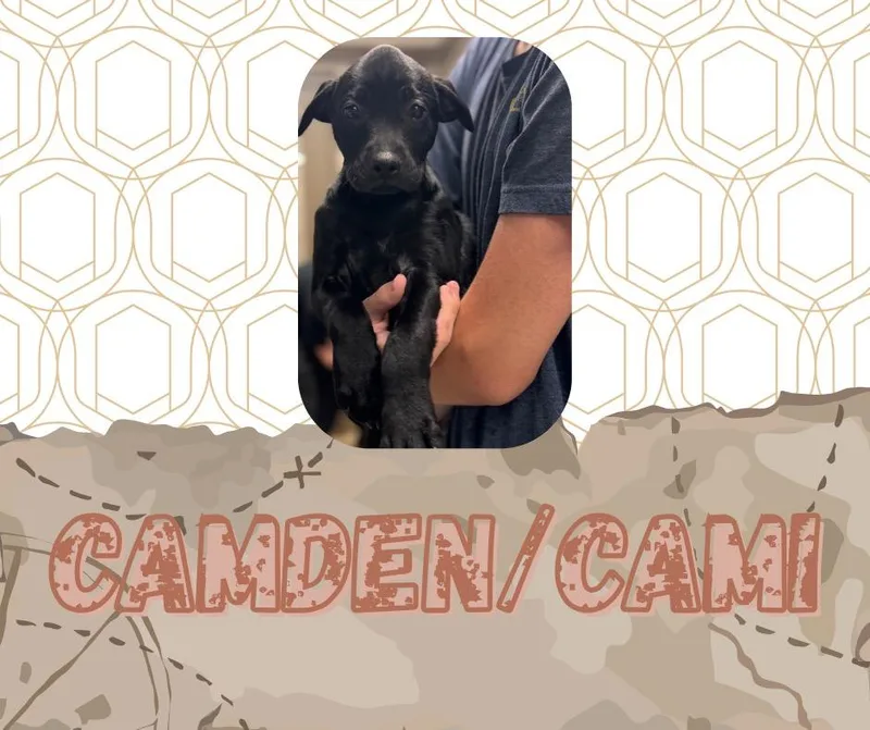 CamdenCami thumbnail 3