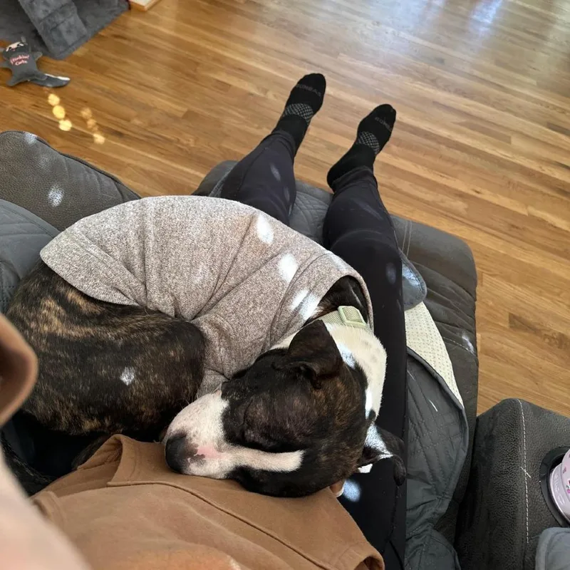 Bentley Bones thumbnail 2