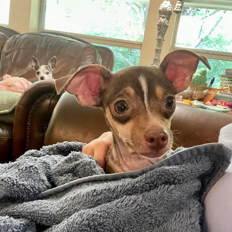 Aspen & Celeste thumbnail 5