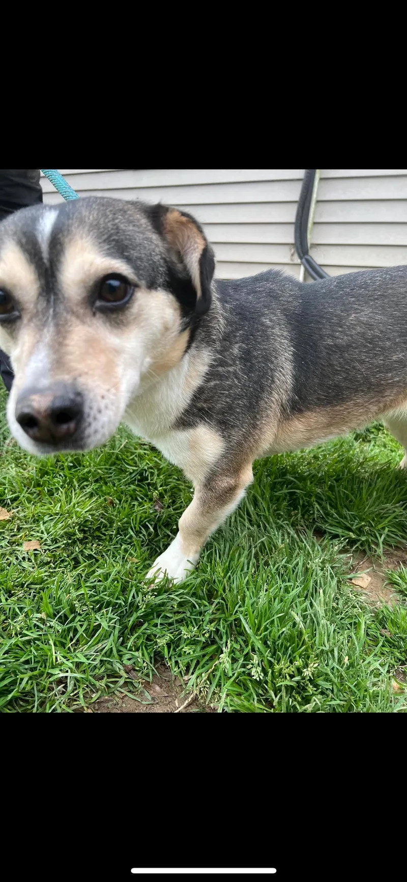 Caroline thumbnail 2