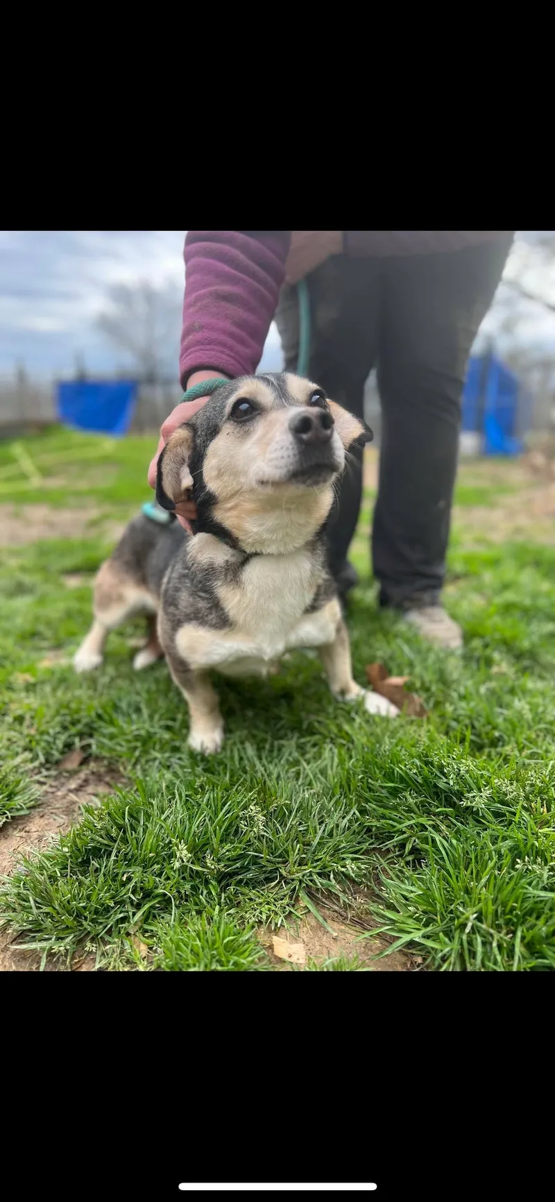 Caroline thumbnail 3