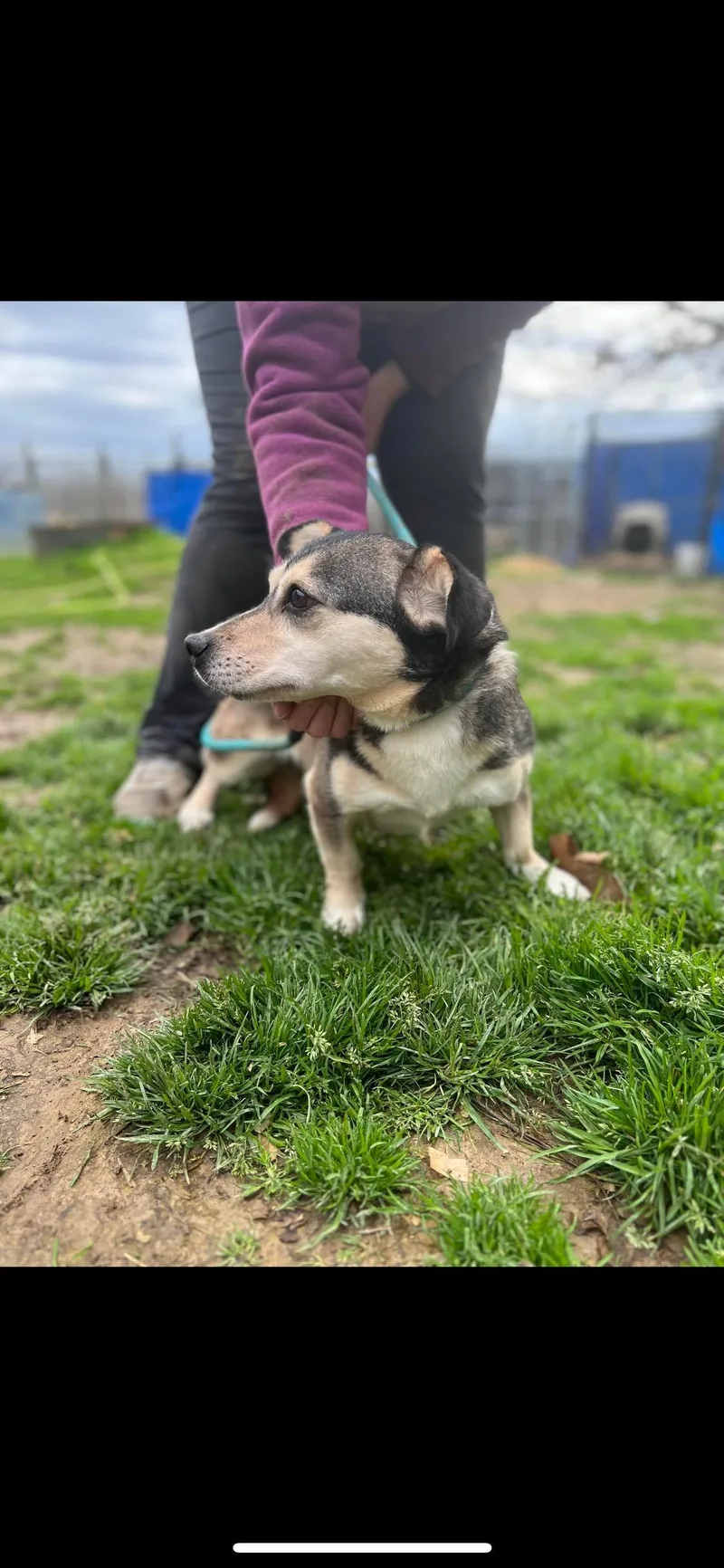 Caroline thumbnail 5