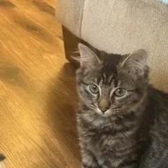 Minnie