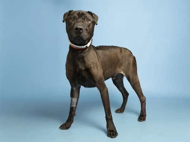 Murphy
