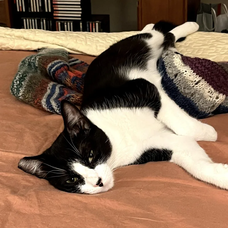 Minnie thumbnail 5