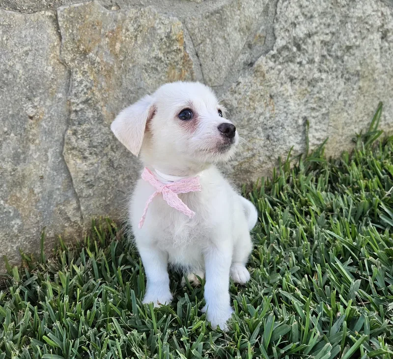 Coco thumbnail 2