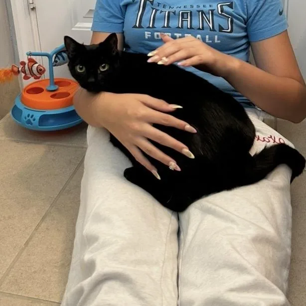 Salem thumbnail 3