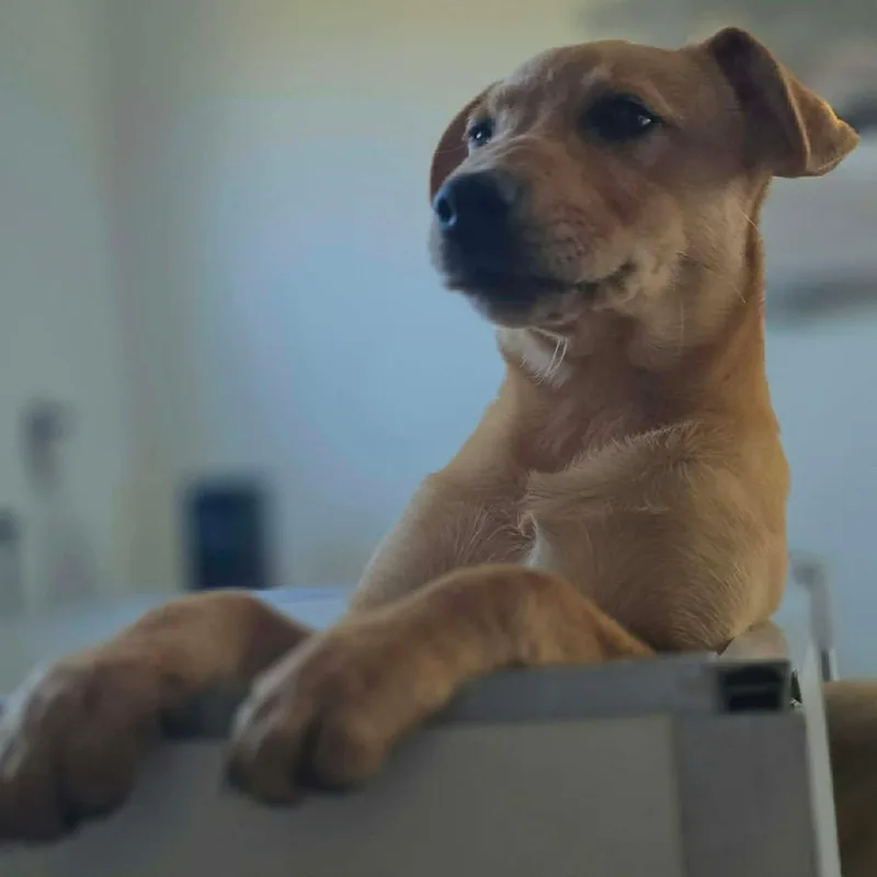 Kindness thumbnail 2