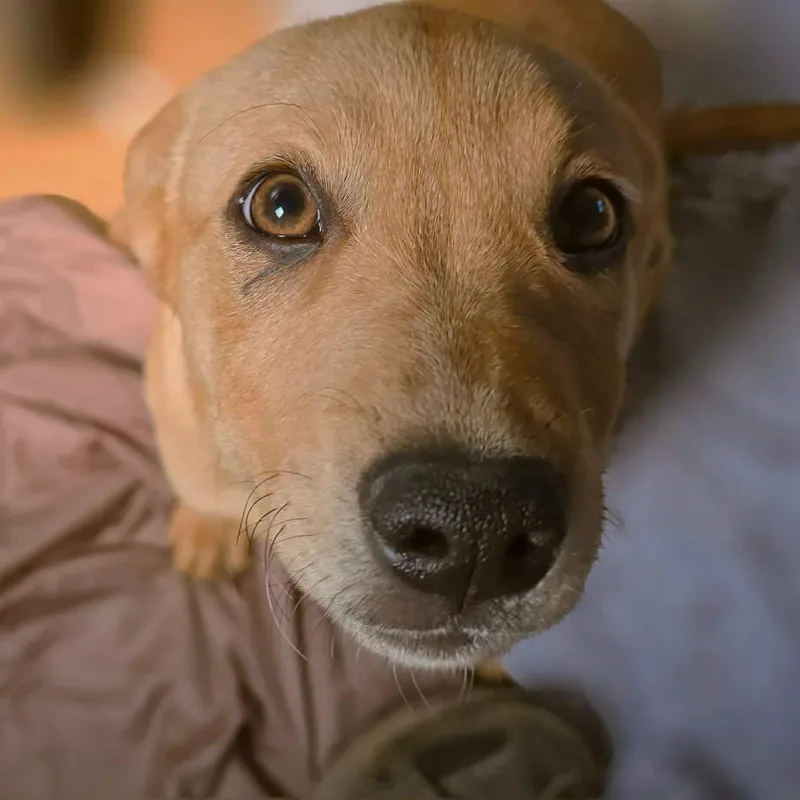 Kindness thumbnail 3